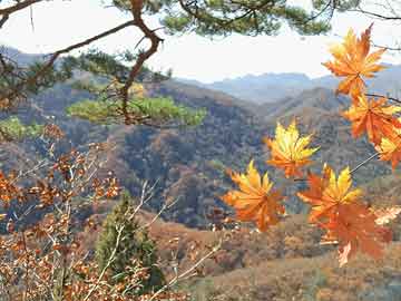 雪山镇新领导团队带来的气象变革